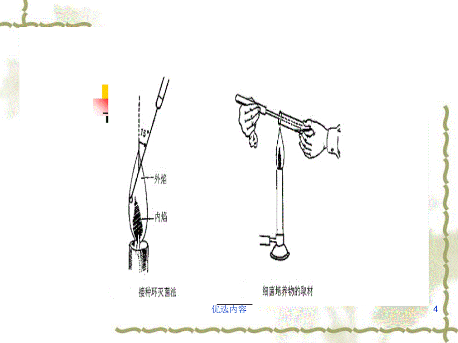 细菌的接种和注意事项终版【特选材料】_第4页