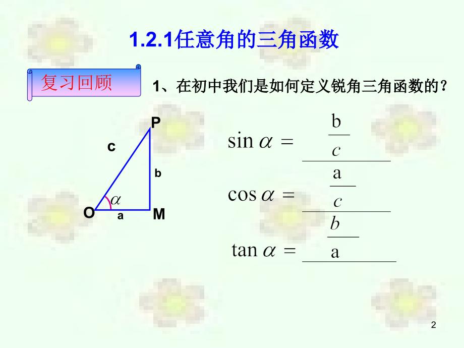 数学1.2.1任意角的三角函数人教A版必修4ppt课件_第2页