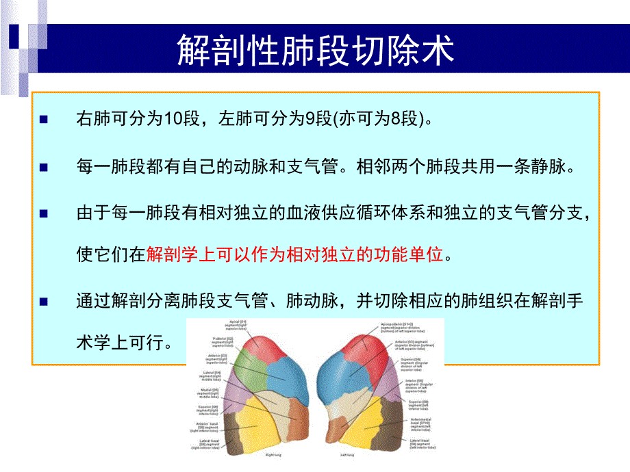 《肺叶与肺段比较》PPT课件.ppt_第4页