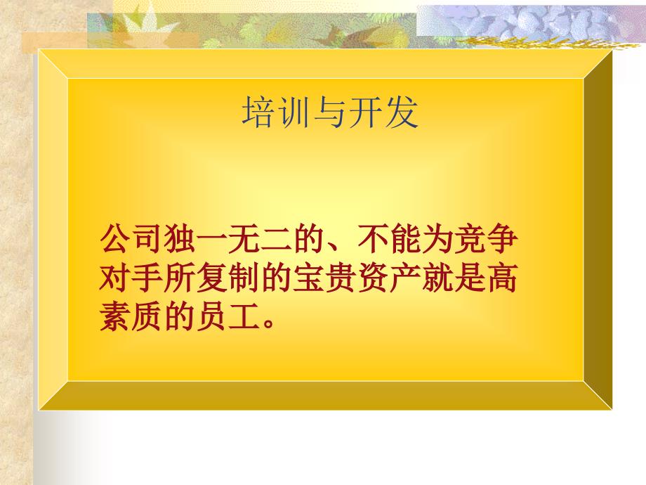 【培训教材】人力资源管理培训教材培训与发展PPT档58页_第2页