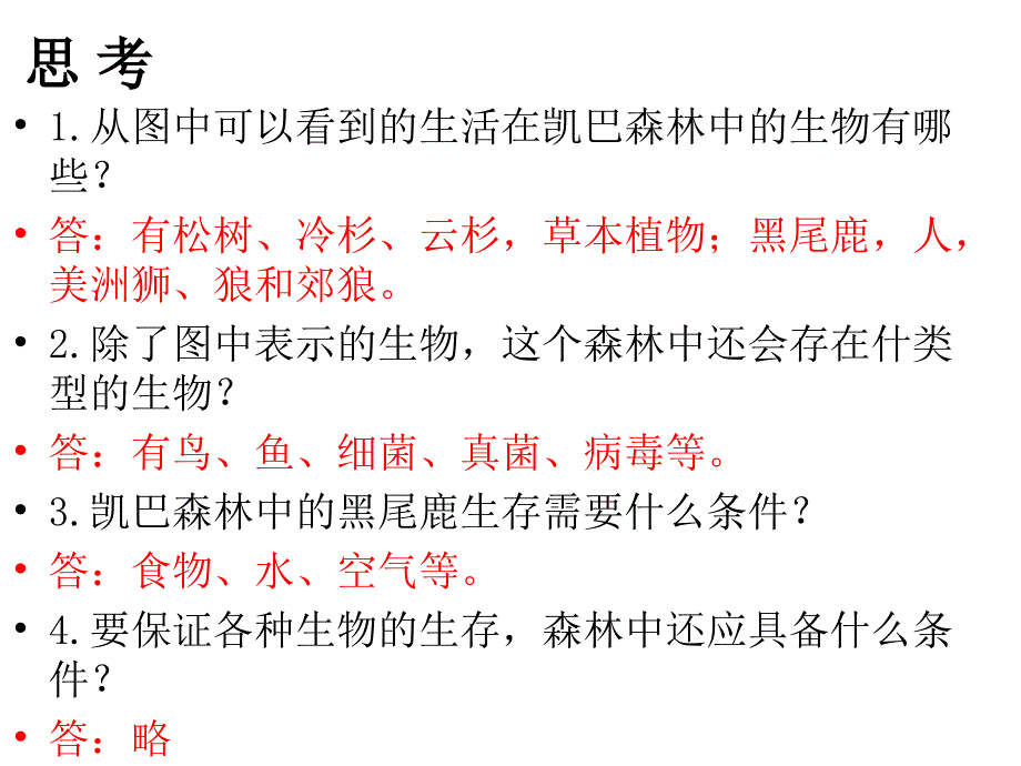 生态系统概述PPT课件_第3页