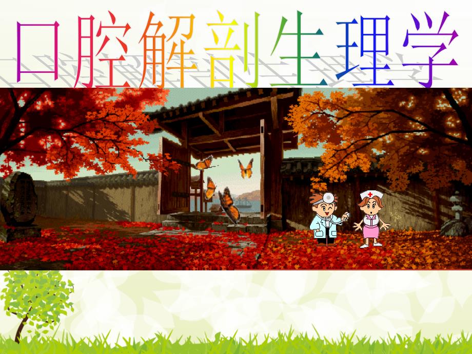 口腔下颌磨牙解剖形态_第1页