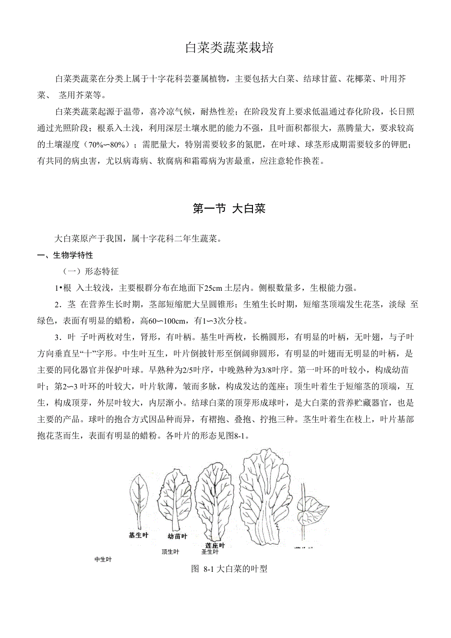 白菜类蔬菜栽培_第1页