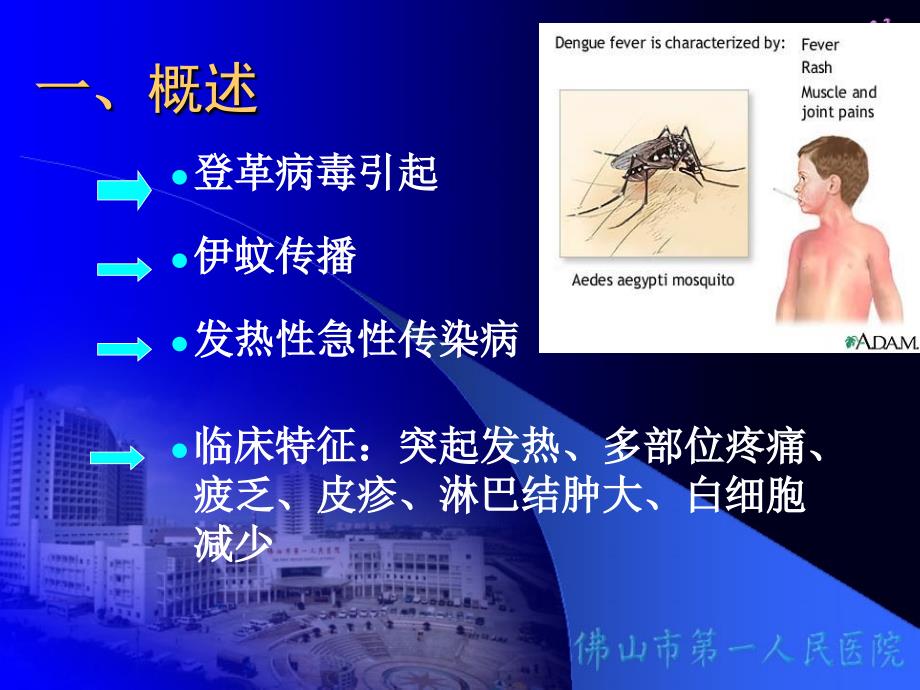 登革热的诊断和治疗_第3页