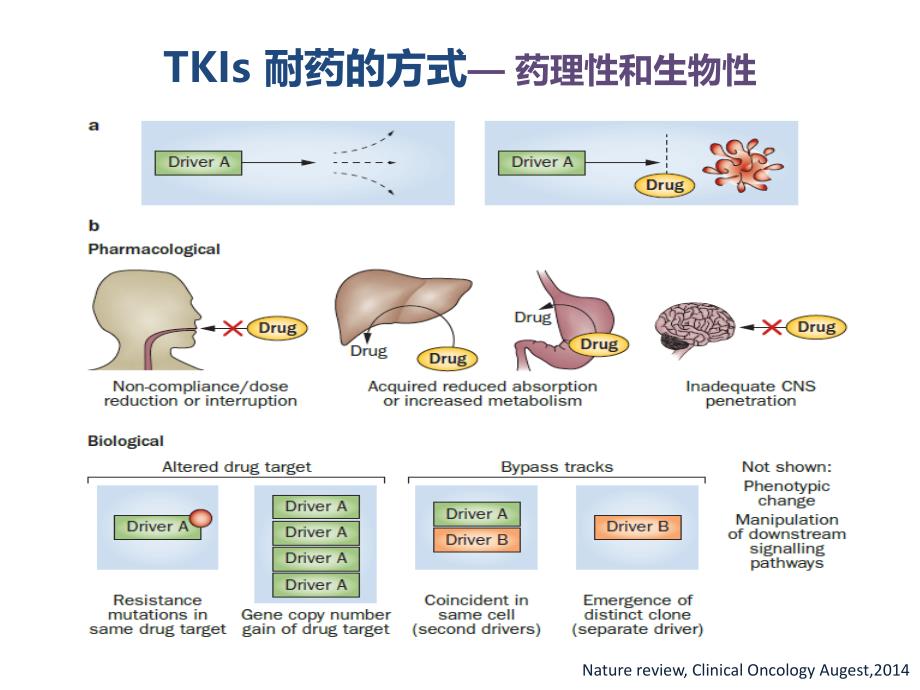 TKI耐药后治疗策略研究进展_第2页