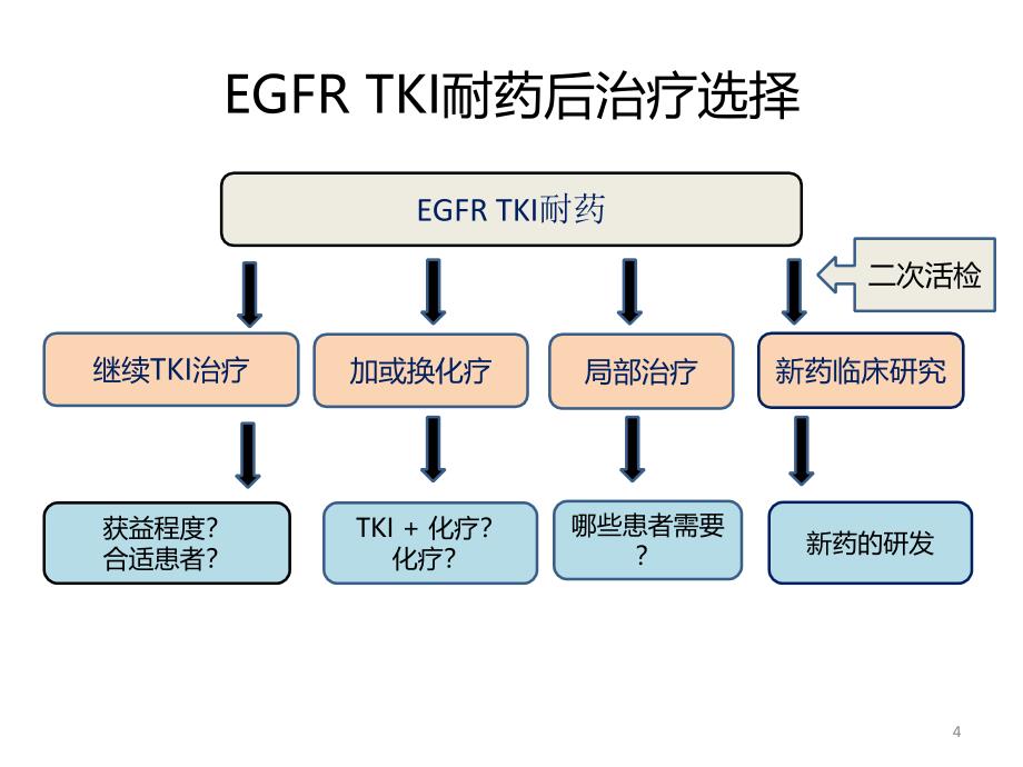 TKI耐药后治疗策略研究进展_第4页