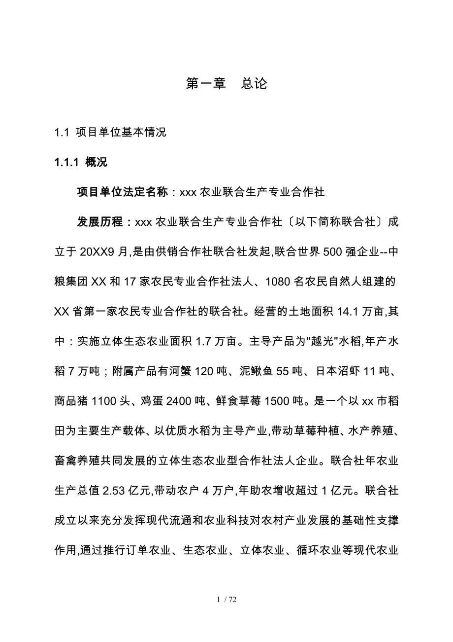 三万吨糙米加工新建项目可行性实施计划书_第1页