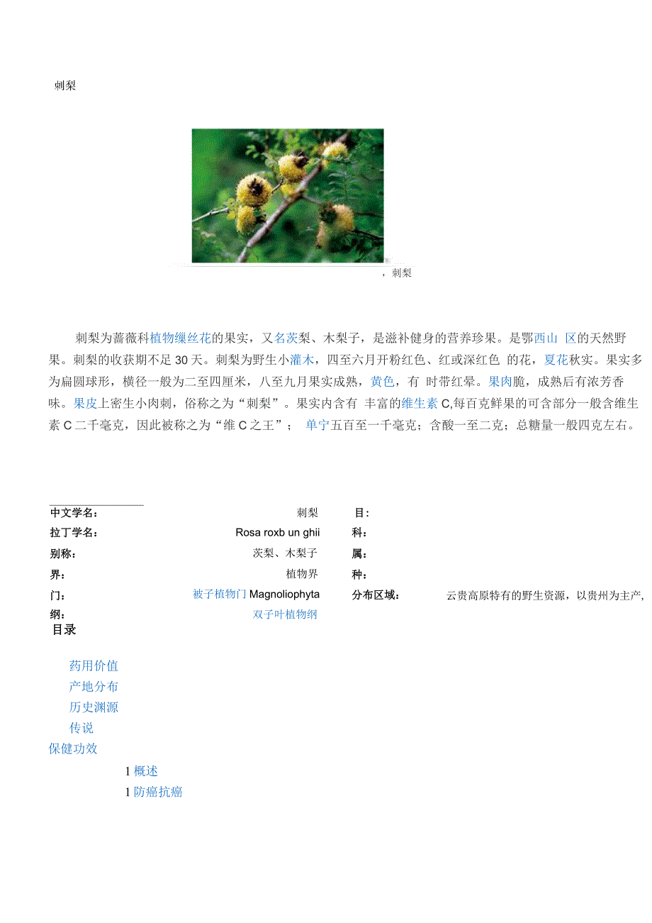 刺梨最热最新最全第三代水果资料_第1页