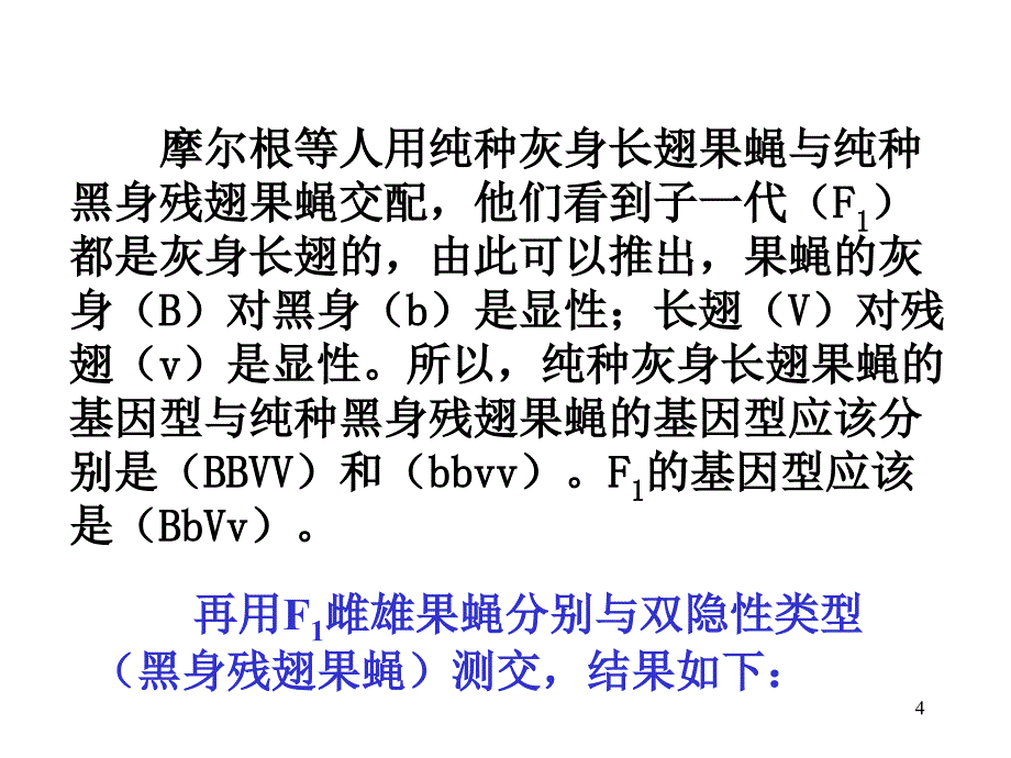 摩尔根与遗传的第三定律课件_第4页