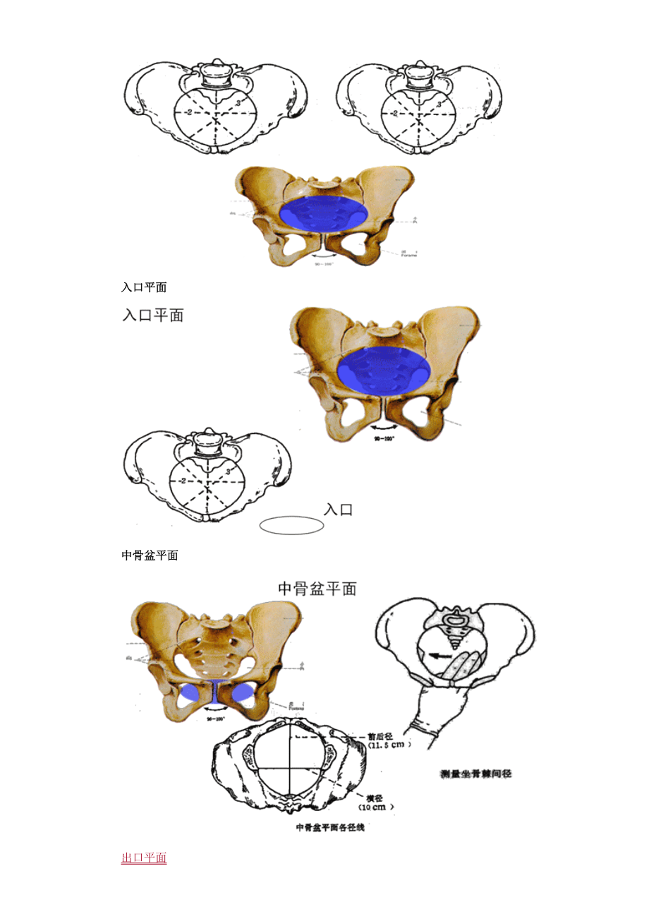 2022中西医结合执业医师妇科学冲刺课程串讲讲义_第2页