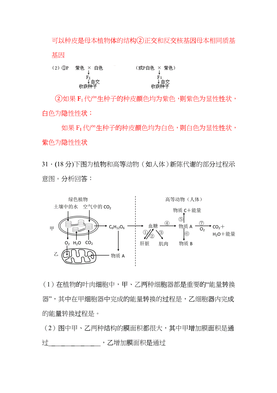 09届二轮生物备考会参评试题(蕲春一中)iyy_第4页