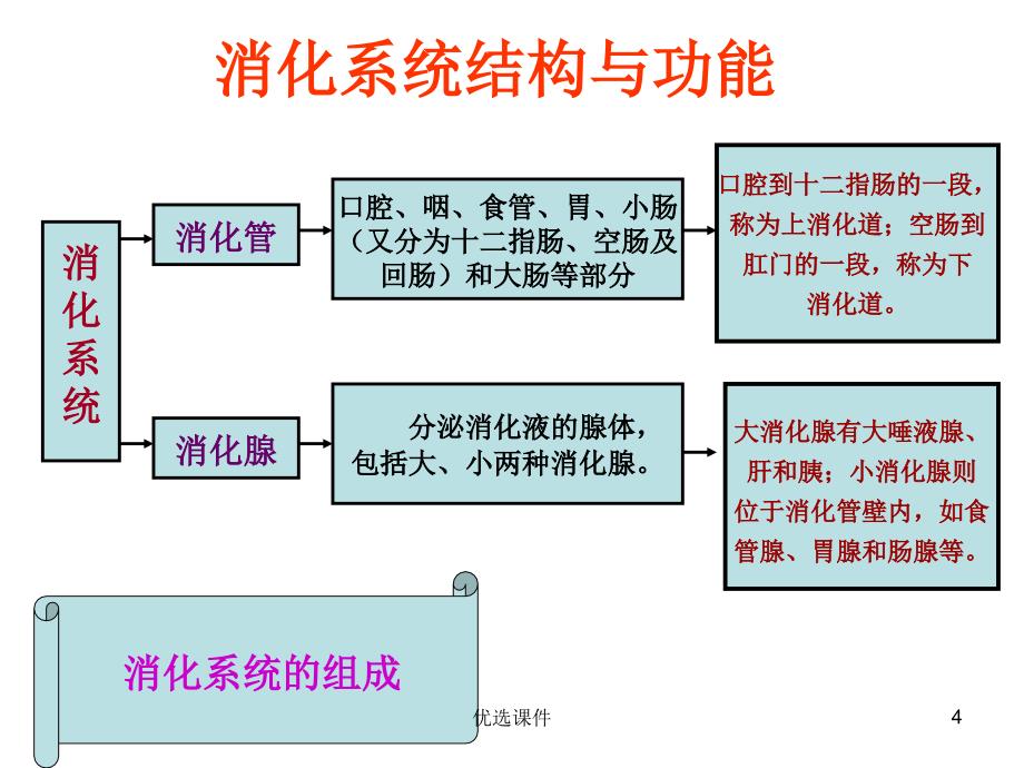 消化系统疾病病人的护理【培训内容】_第4页