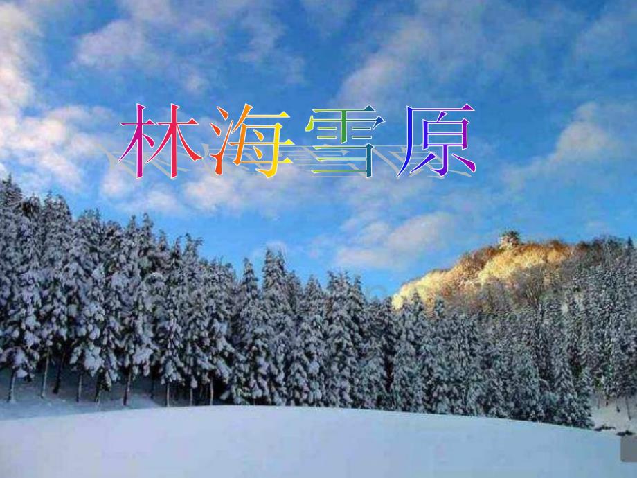 山东人民版小学五年级品德与社会下册《林海雪原》课件2_第1页