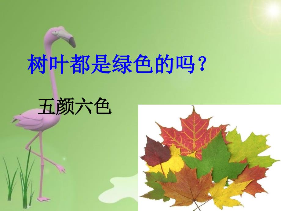 栗木中心校语文S版四上树叶都是绿色的吗？PPT课件_第4页