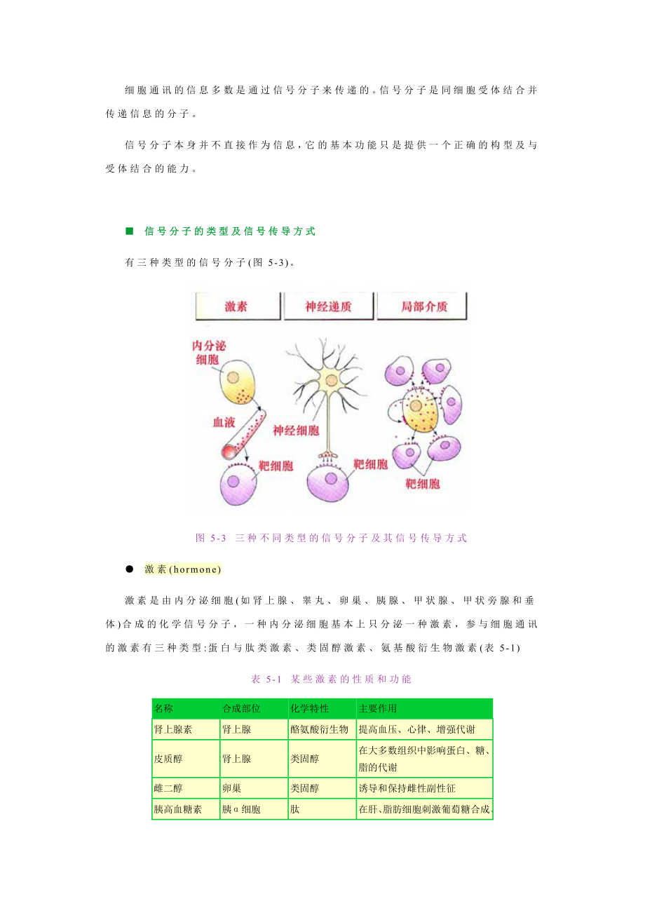 细胞生物学05细胞通讯.doc_第4页