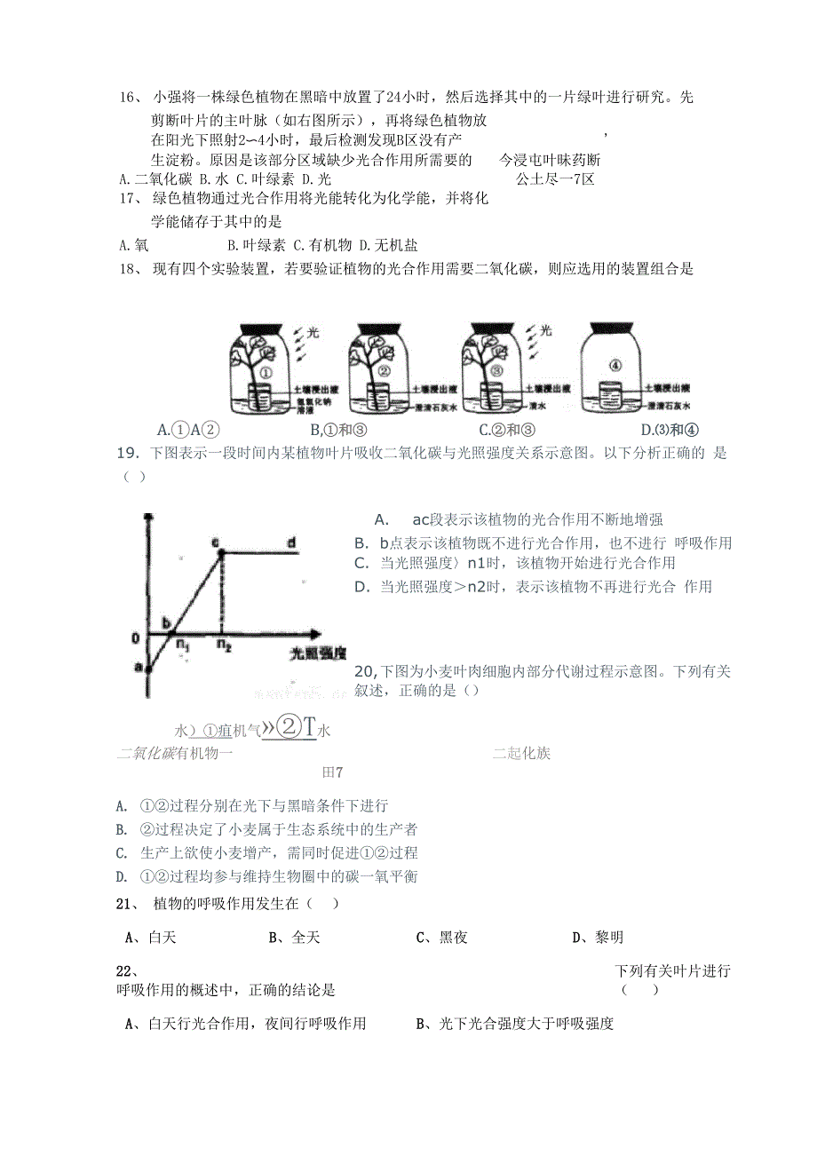 植物的光合作用和呼吸作用_第3页