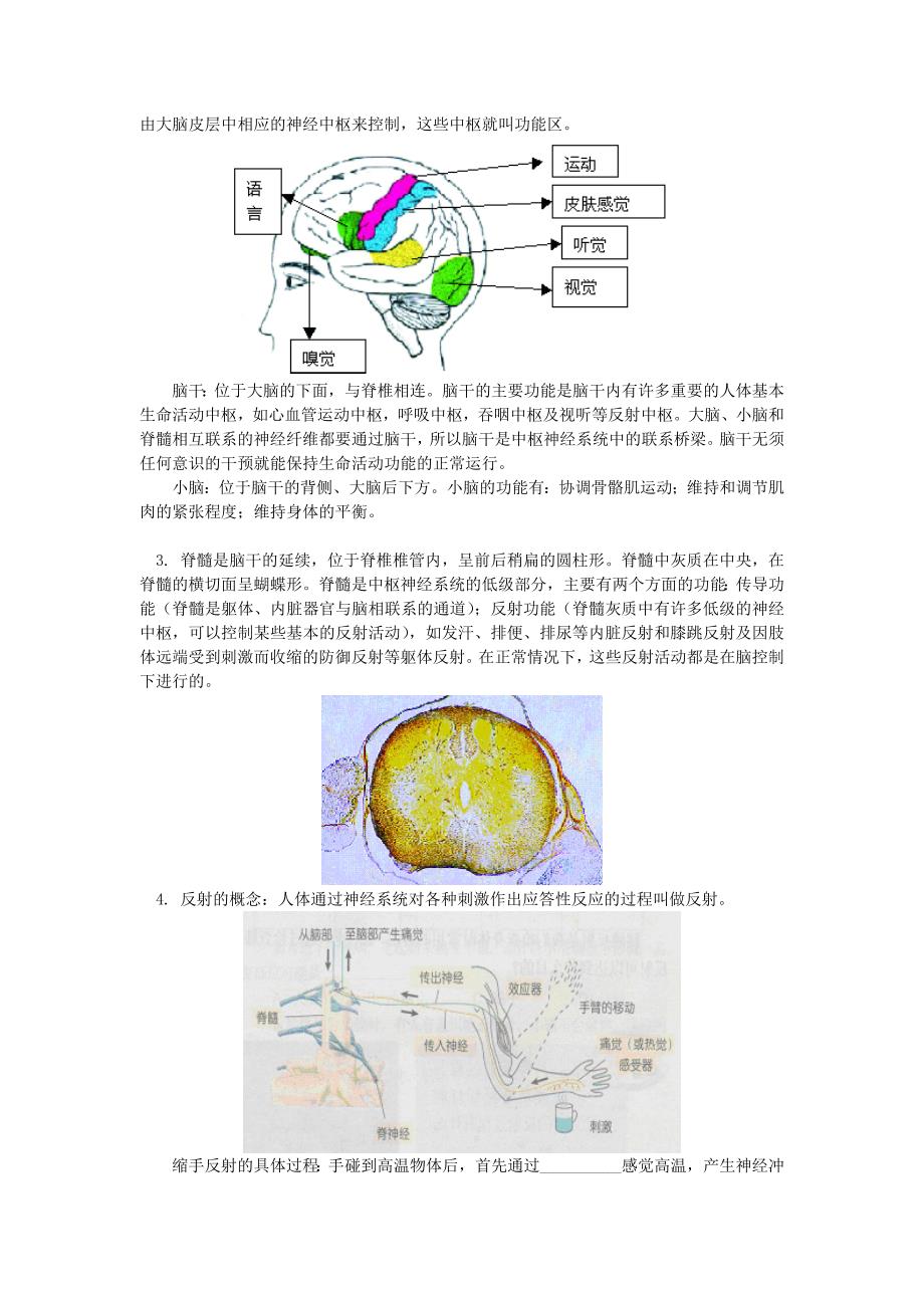 精选类八年级生物第三节神经调节浙江版知识精讲_第2页