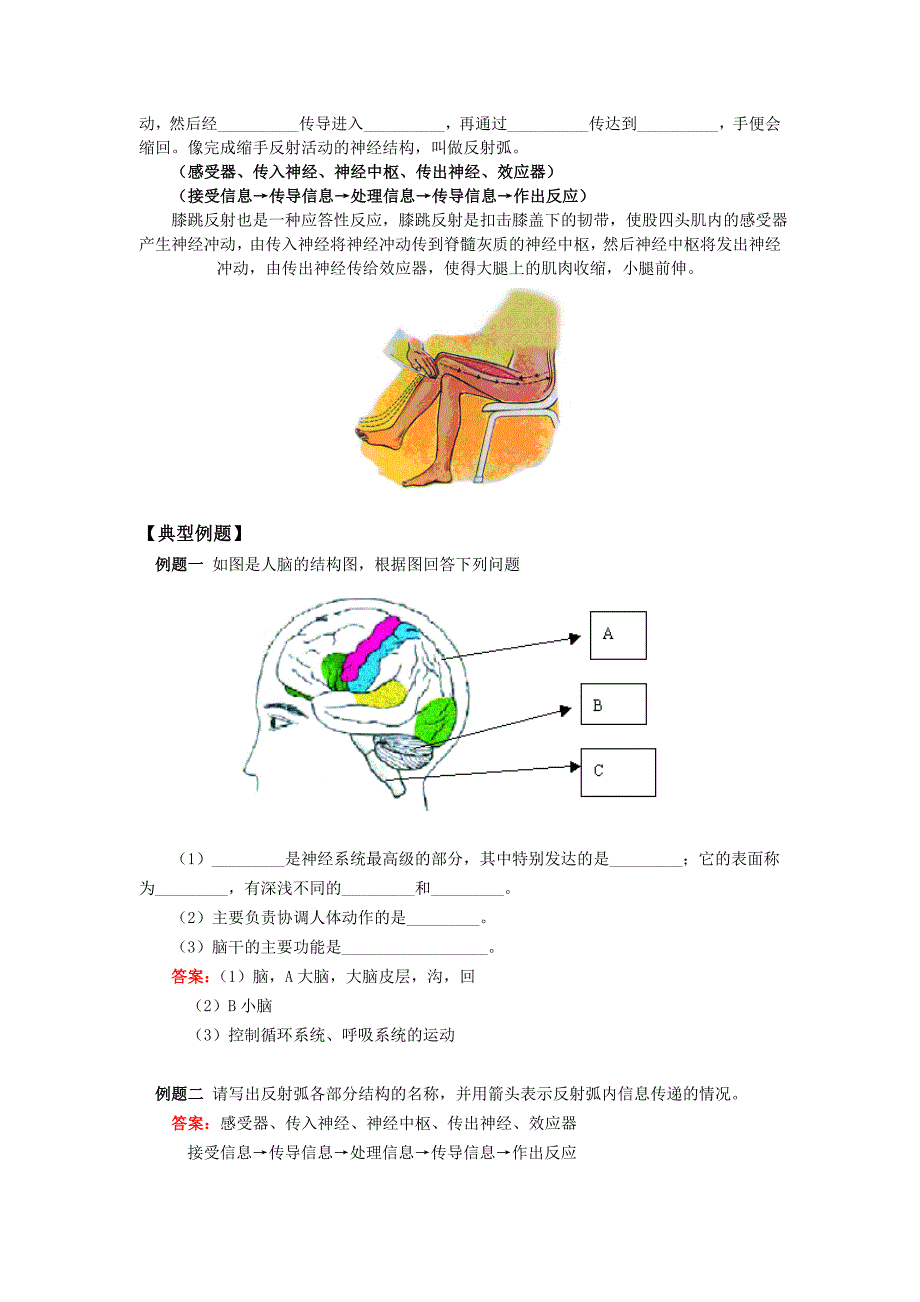 精选类八年级生物第三节神经调节浙江版知识精讲_第3页