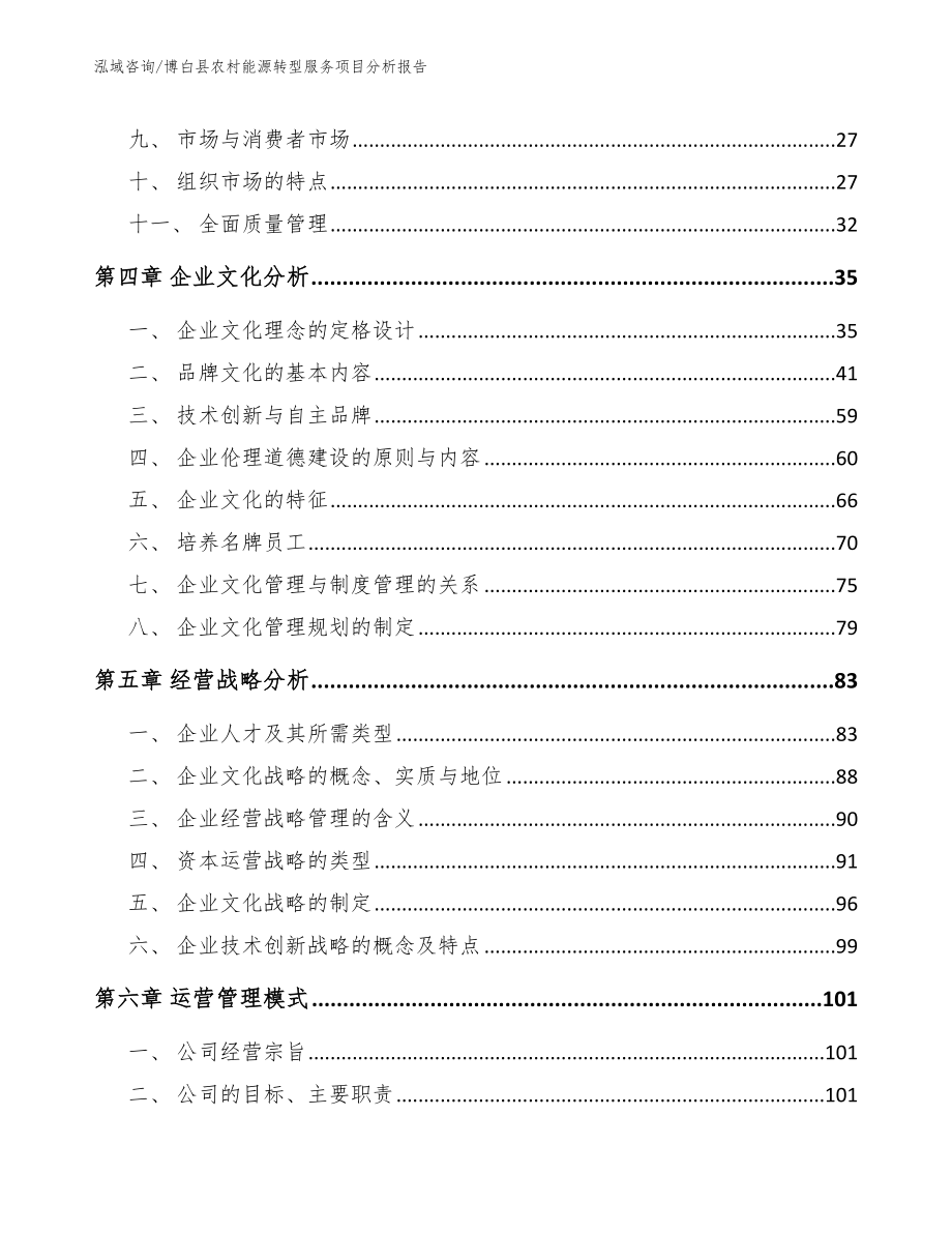 博白县农村能源转型服务项目分析报告（参考范文）_第2页