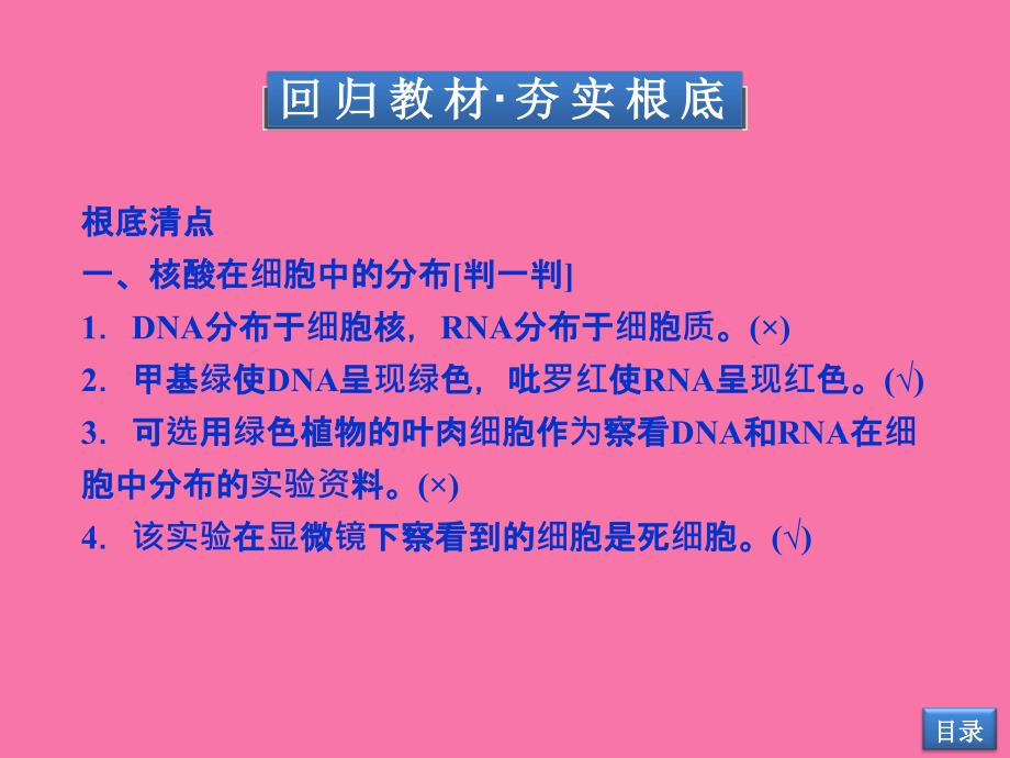 第34节遗传信息的携带者核酸细胞中的糖类和脂质ppt课件_第3页