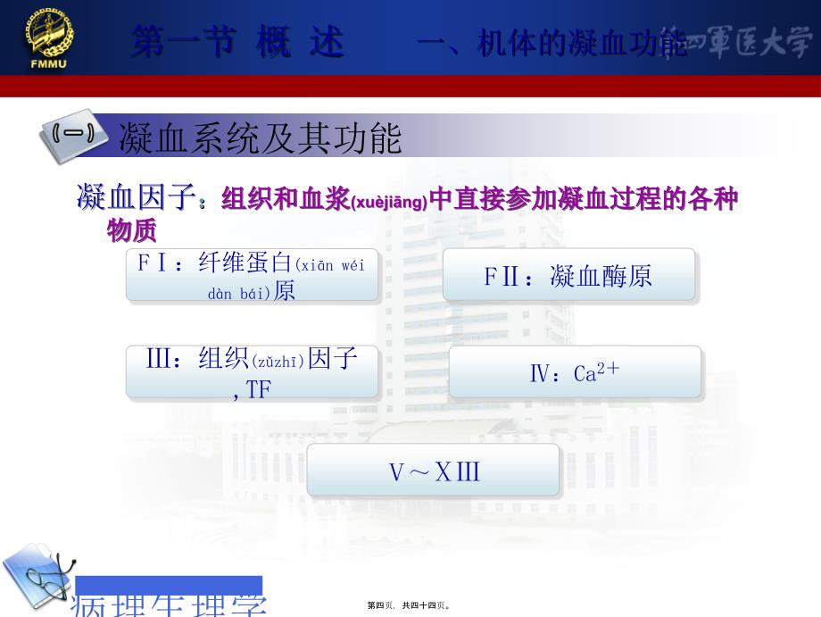 凝血和抗凝课件_第4页