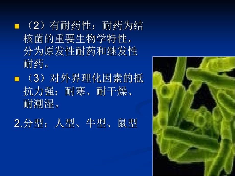 内科护理学肺结核ppt课件_第5页