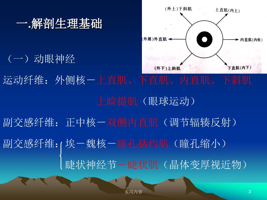 眼球运动及解刨业界特制_第3页