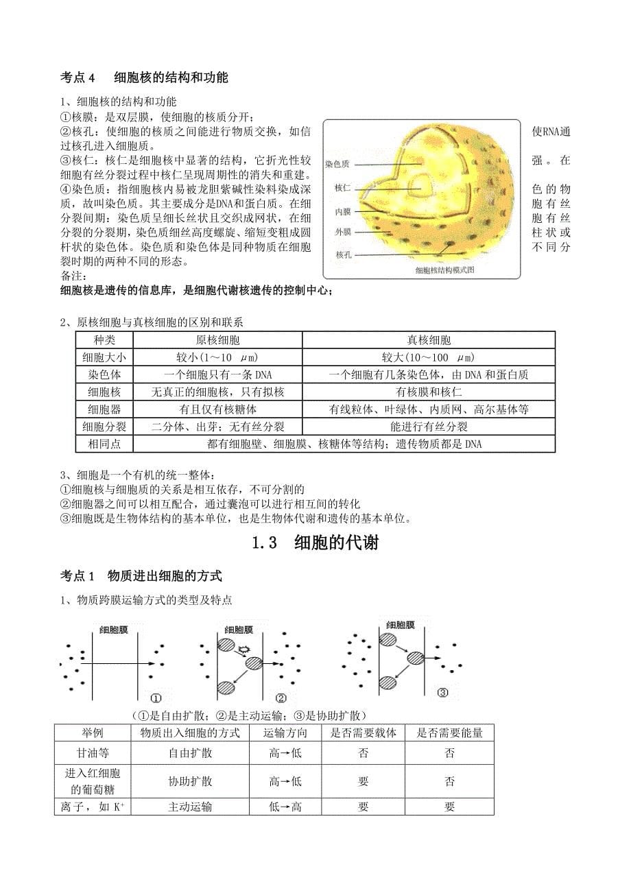 高中生物必修一重难点梳理.doc_第5页