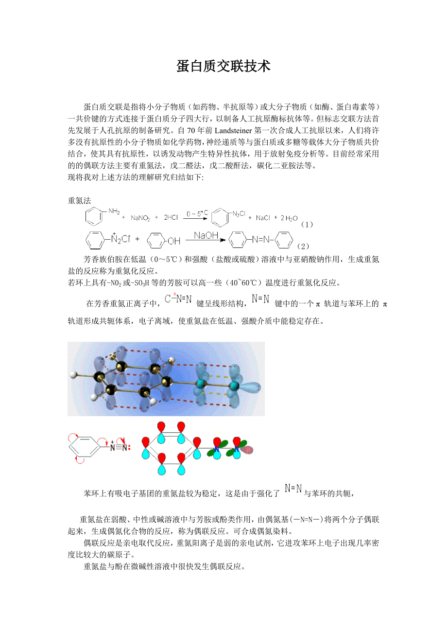 蛋白质偶联技术_第1页