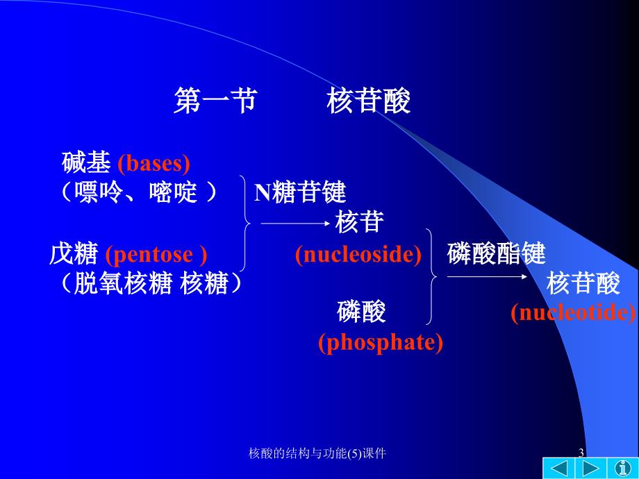 核酸的结构与功能(5)课件_第3页