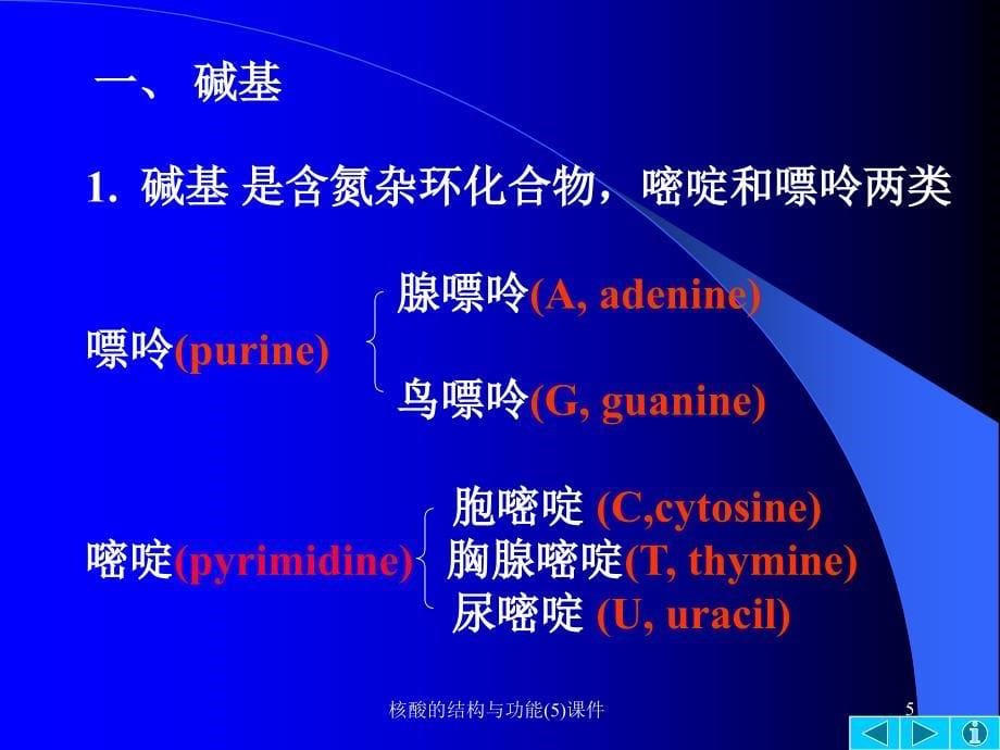 核酸的结构与功能(5)课件_第5页