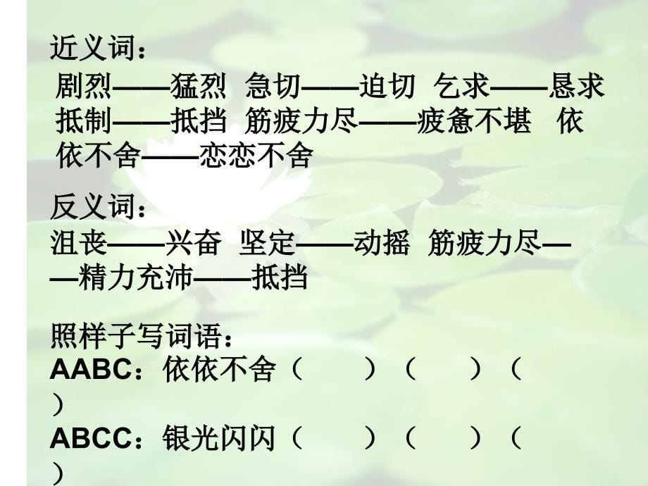 《钓鱼》2课件(语文S版四年级下册课件)_第5页