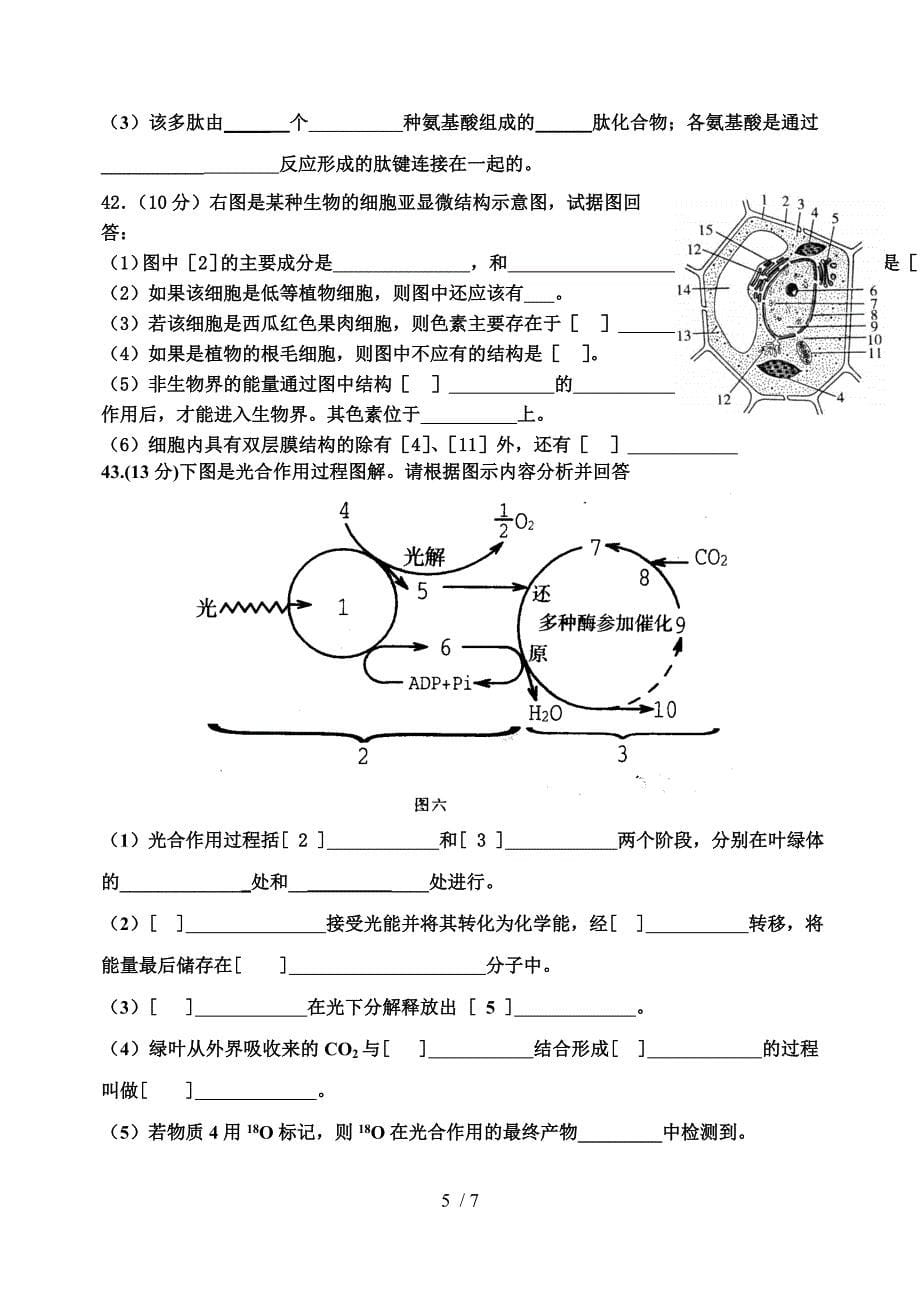 高一必修一期末试卷_第5页