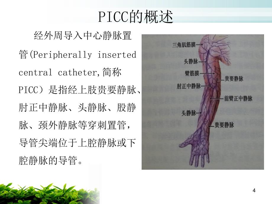 PICC的并发症及处理课堂PPT_第4页