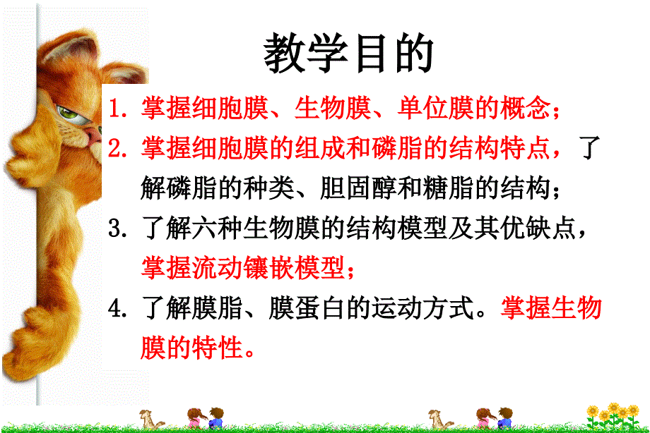 细胞生物学细胞膜与细胞表面_第2页