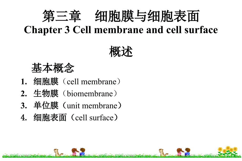 细胞生物学细胞膜与细胞表面_第3页