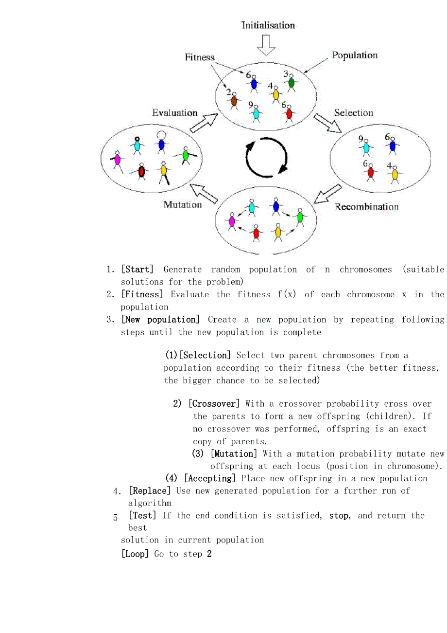 第4章 遗传算法_第4页