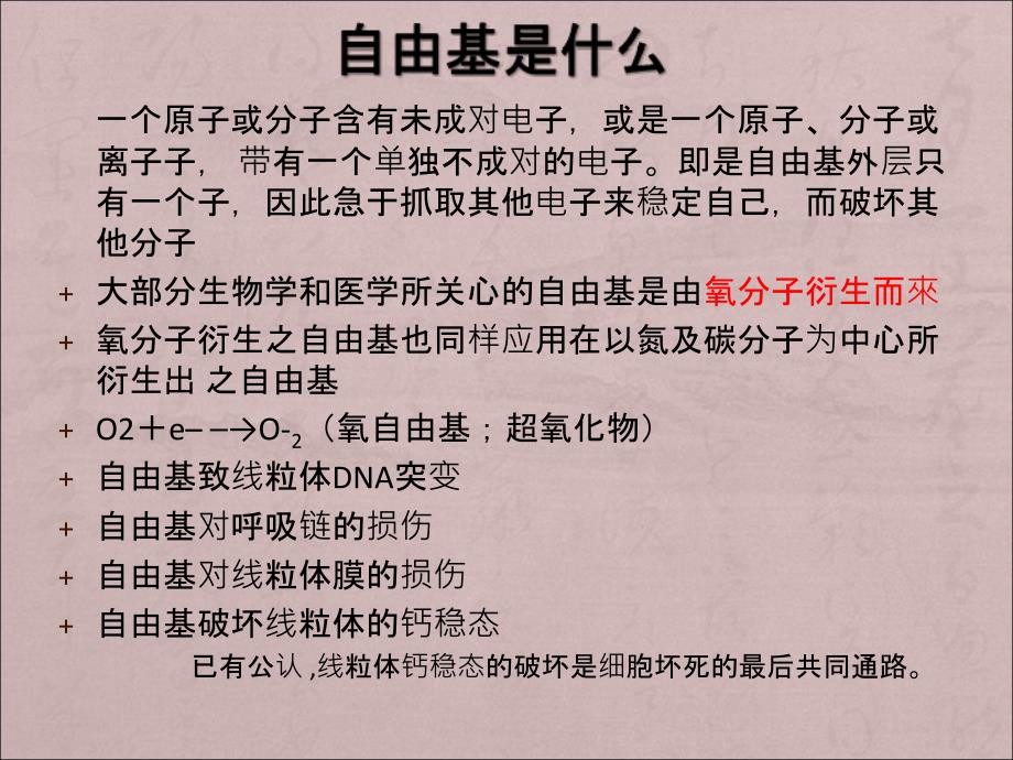 抗氧化药药理要点_第3页