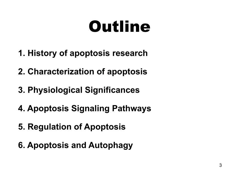 细胞凋亡和细胞自噬课堂PPT_第3页