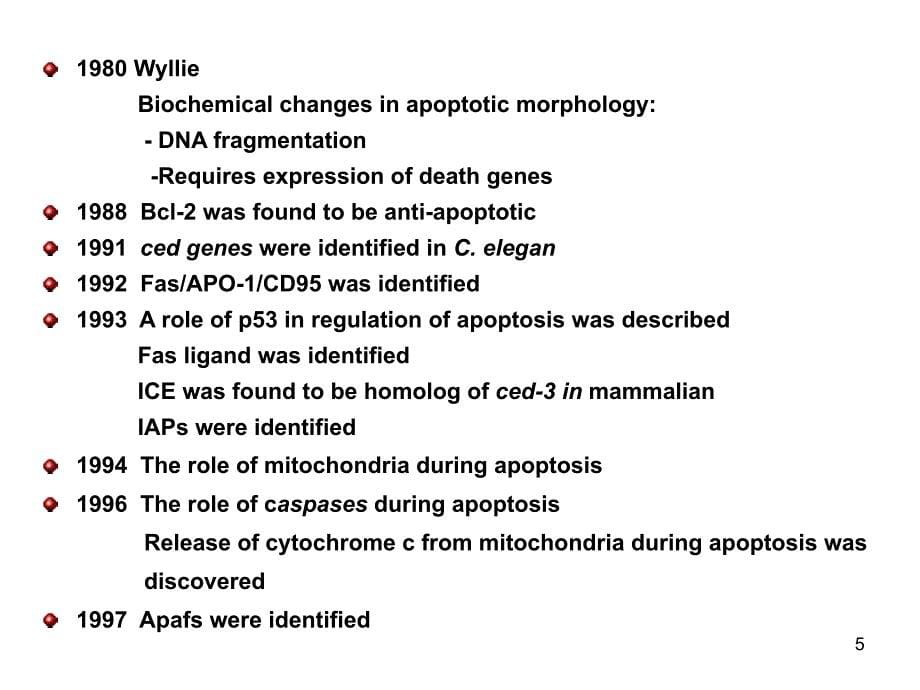 细胞凋亡和细胞自噬课堂PPT_第5页
