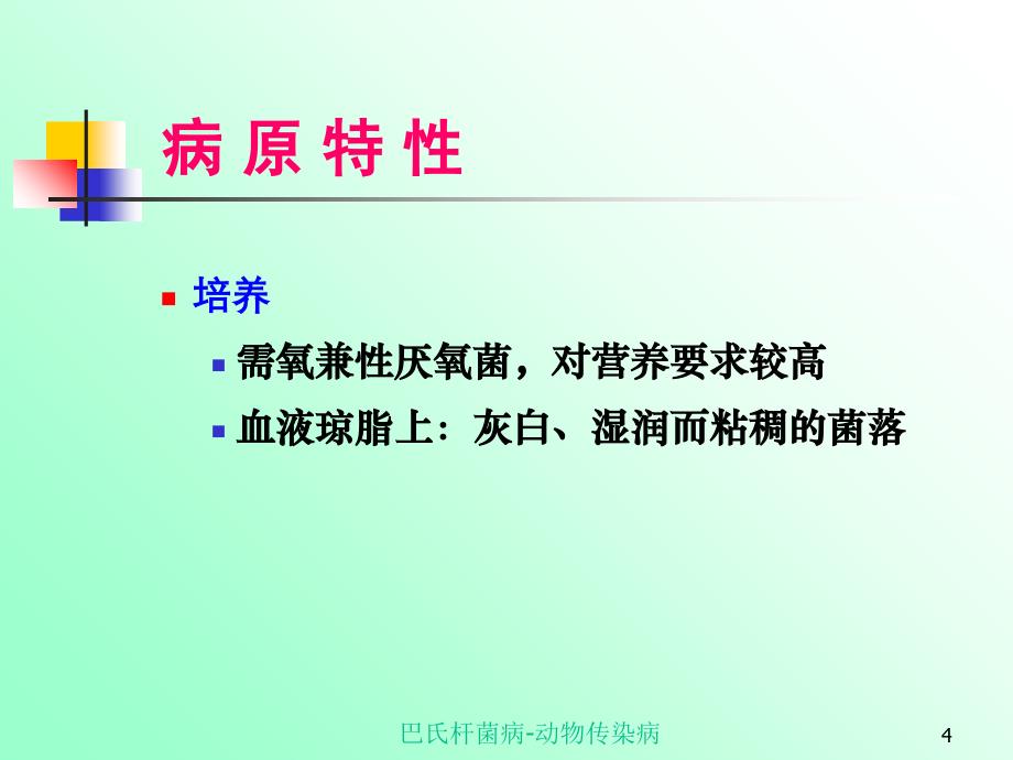 巴氏杆菌病动物传染病课件_第4页