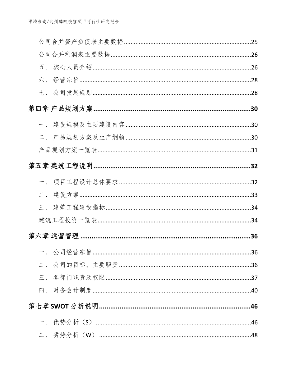 达州磷酸铁锂项目可行性研究报告【参考模板】_第3页