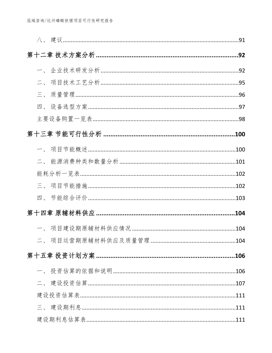 达州磷酸铁锂项目可行性研究报告【参考模板】_第5页