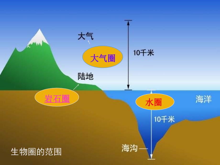 二章生物圈是所有生物的家_第4页