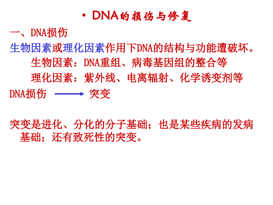 复制修复与逆转录PPT课件_第2页