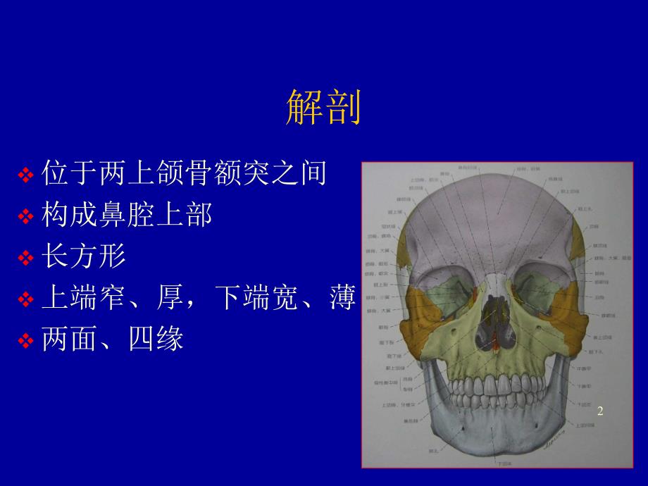 鼻骨骨折影像学诊断课件_第2页