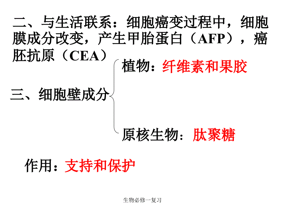 生物必修一复习_第4页