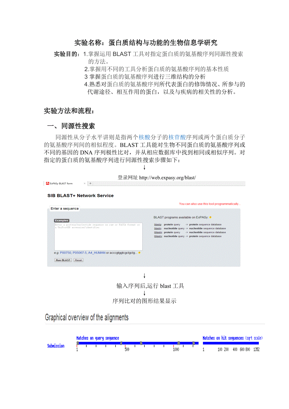 蛋白质结构与功能的生物信息学研究_第1页