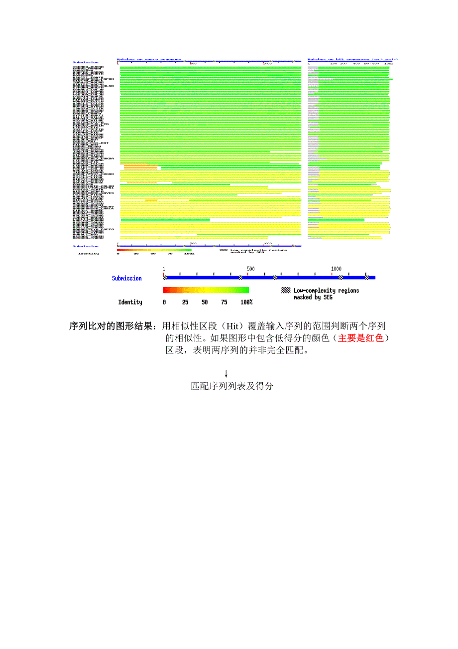 蛋白质结构与功能的生物信息学研究_第2页