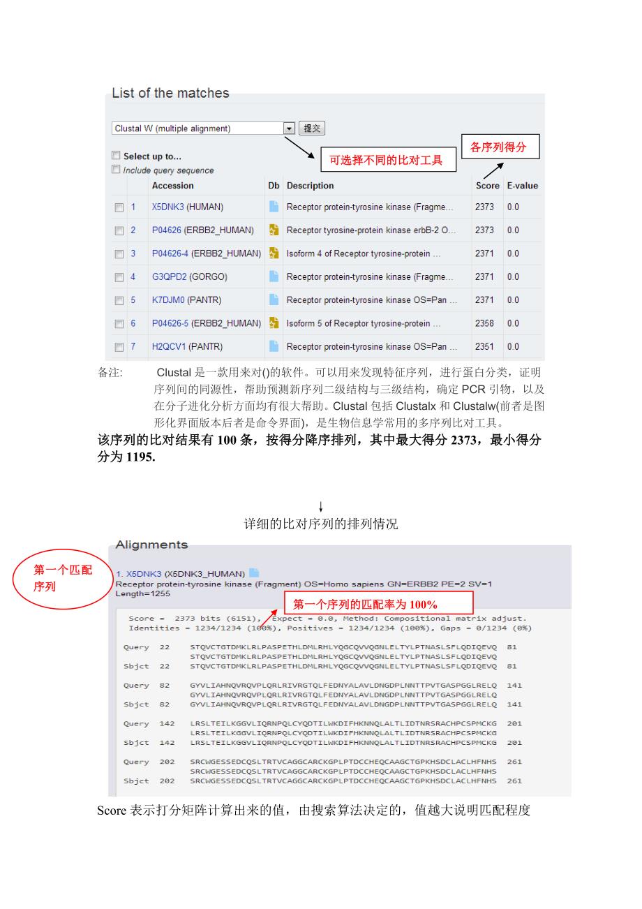 蛋白质结构与功能的生物信息学研究_第3页